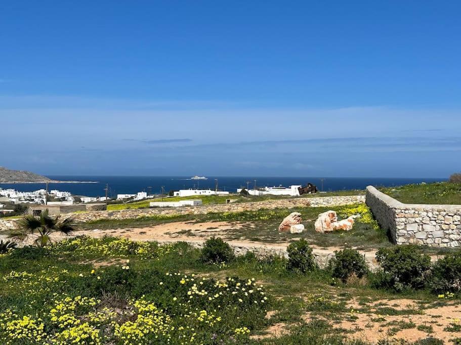 Aretousa Residence In Naoussa, Paros ภายนอก รูปภาพ