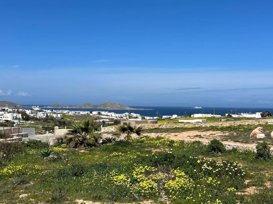 Aretousa Residence In Naoussa, Paros ภายนอก รูปภาพ